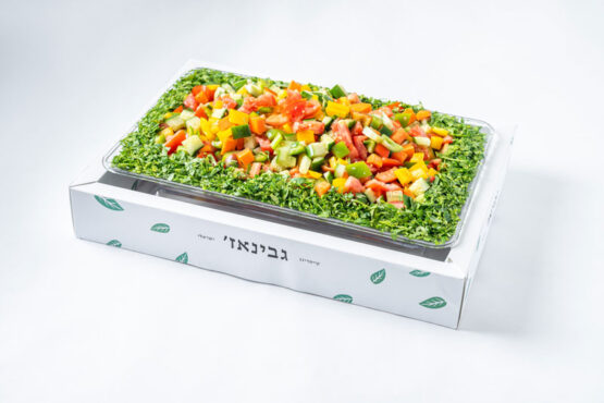 מגש סלט ישראלי