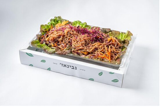 סלט אסייאתי אטריות אורז,כרוב סגול,גזר,פלפלים,נבטי חמנייה,בויניגרט סויה וגנגר דבש.