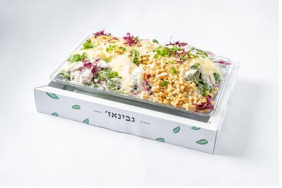 סלט קיסר לבבות חסה,בצל סגול,מלפפון,קרוטונים,גבינת פרמזן