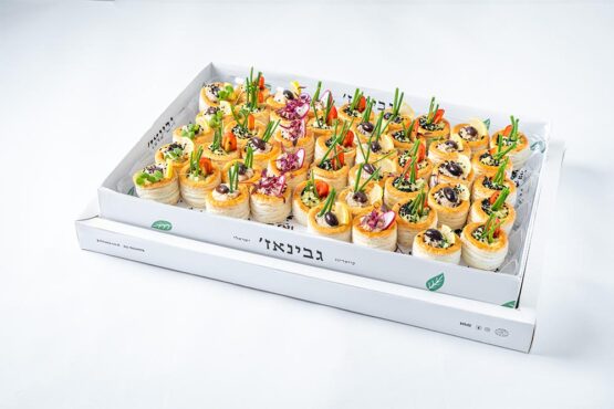 קנאפס במילוי מוס סלמון מוס טונה מוס אבוקדו